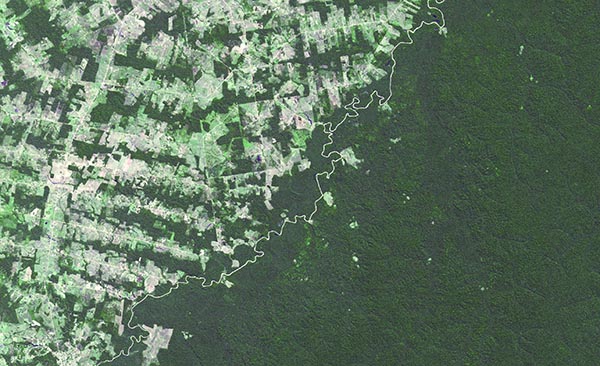 Grazing land in the Brazilian rainforest