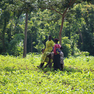 Villagers from Sere in the Tororo district in southeastern Uganda.