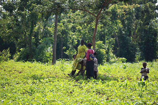 Villagers from Sere in the Tororo district in southeastern Uganda.