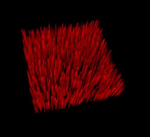 Artificial cell membranes are formed along vertical nanowires. Image: Aleksandra Dabkowska