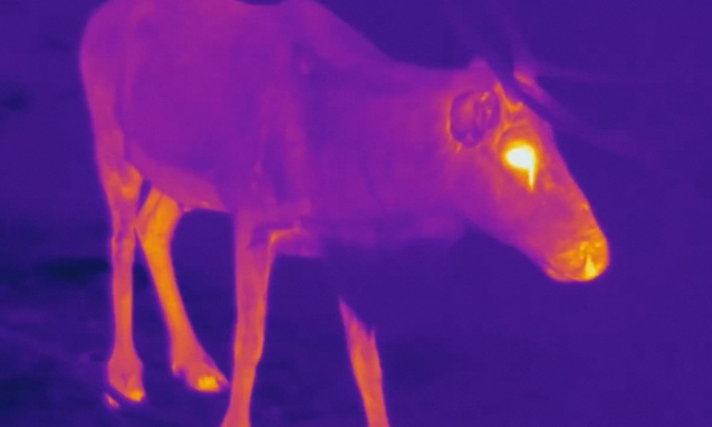 Heat emitting reindeer