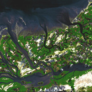 Mangrove coast in Ecuador 1991