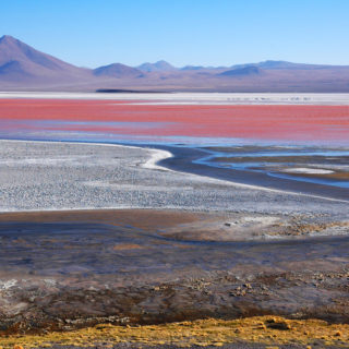 Laguna Colorada lays at a height of 4278 m in Bolivia. The red colour is created by the bacteria, which collect the red pigment internally.
